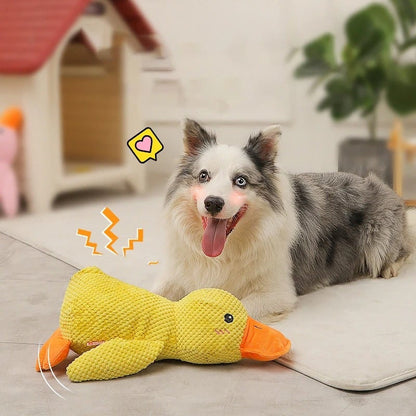 DuckBuddy - Lekfull kvackande hundleksak
