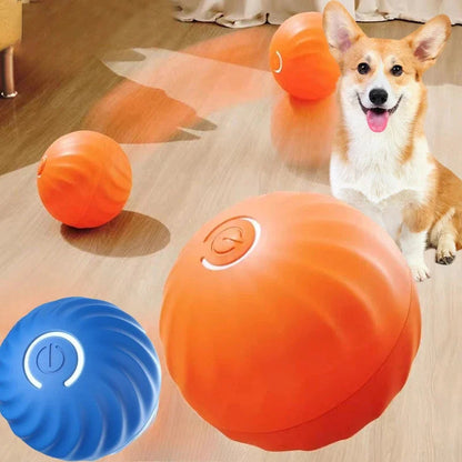 PawMotion Ball - Interaktiv boll som roar din hund i timmar