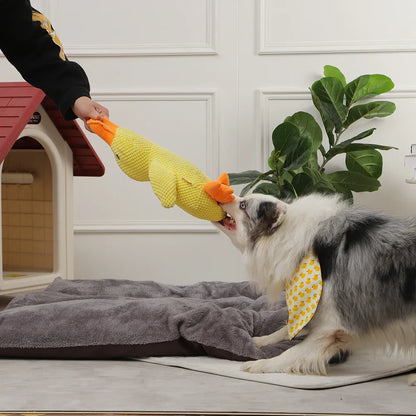 DuckBuddy - Lekfull kvackande hundleksak