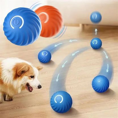 PawMotion Ball - Interaktiv boll som roar din hund i timmar