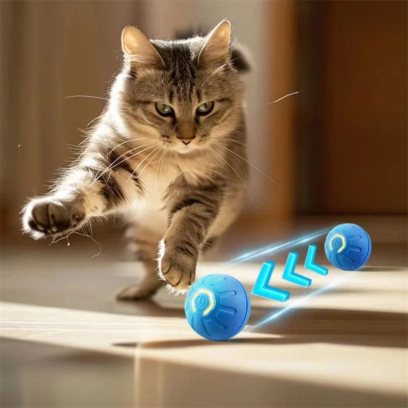 PawMotion Ball - Interaktiv boll som roar din hund i timmar