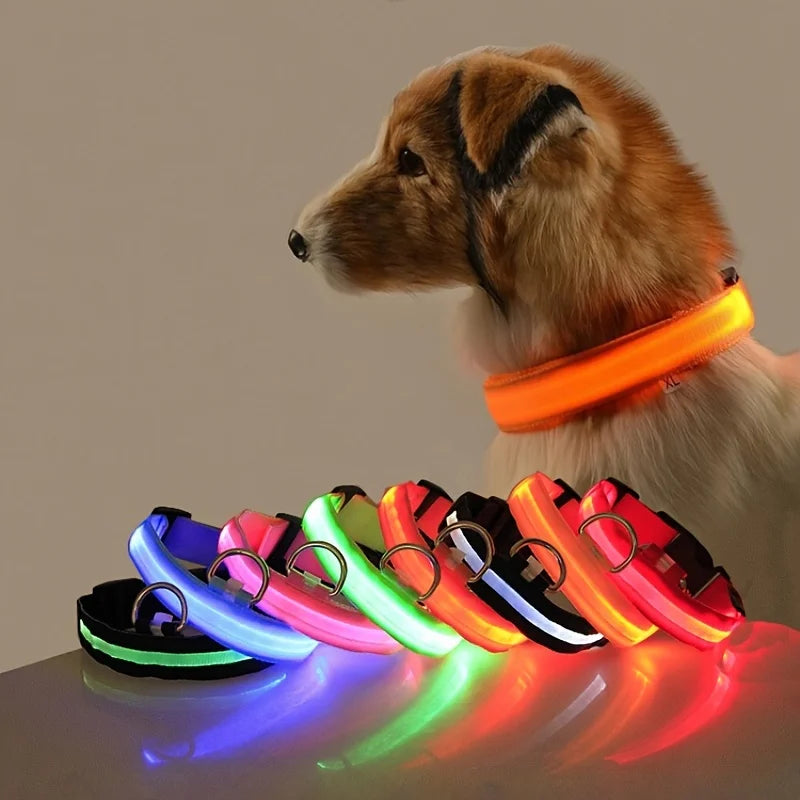 GlowWalk – Promenera tryggt med din hund i mörkret