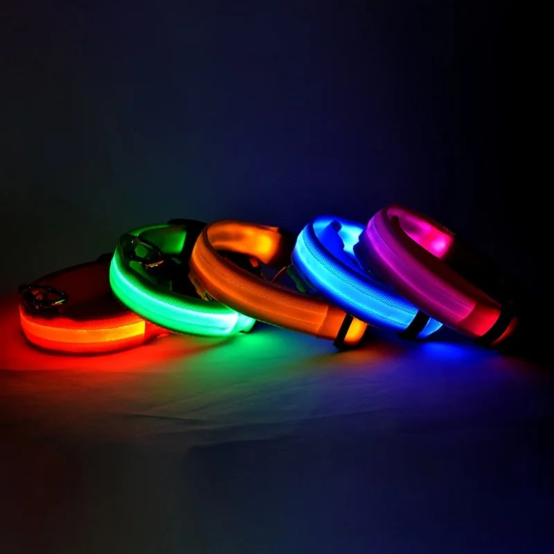 GlowWalk – Promenera tryggt med din hund i mörkret