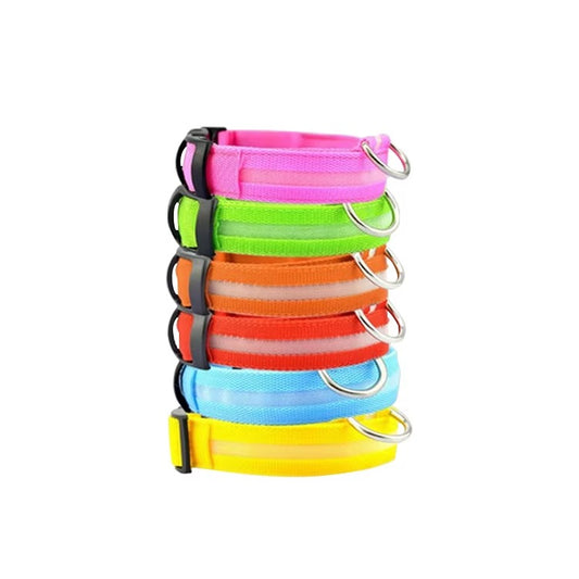 GlowWalk – Promenera tryggt med din hund i mörkret